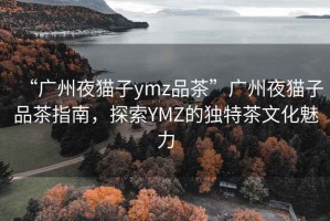 “广州夜猫子ymz品茶”广州夜猫子品茶指南，探索YMZ的独特茶文化魅力