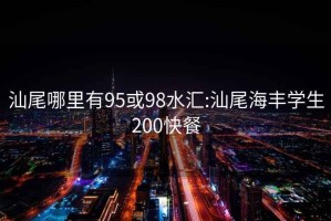 汕尾哪里有95或98水汇:汕尾海丰学生200快餐