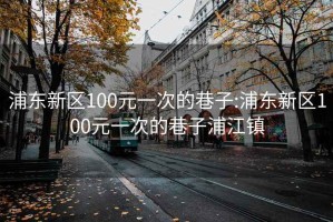 浦东新区100元一次的巷子:浦东新区100元一次的巷子浦江镇