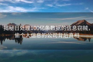 揭秘日处理100亿条数据的信息窃贼，偷个人信息的公司背后真相