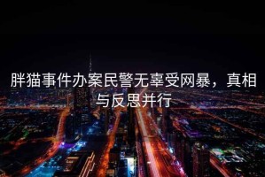 胖猫事件办案民警无辜受网暴，真相与反思并行