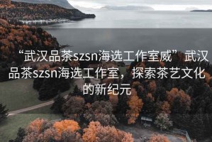 “武汉品茶szsn海选工作室威”武汉品茶szsn海选工作室，探索茶艺文化的新纪元