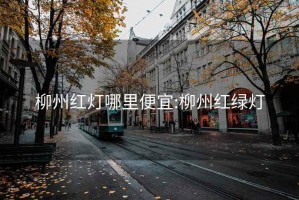 柳州红灯哪里便宜:柳州红绿灯