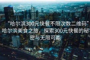 “哈尔滨300元快餐不限次数二维码”哈尔滨美食之旅，探索300元快餐的秘密与无限可能