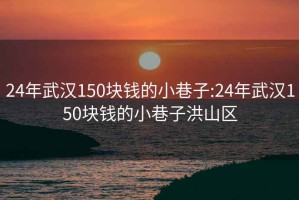 24年武汉150块钱的小巷子:24年武汉150块钱的小巷子洪山区