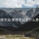 美根东站:美根东站是什么意思