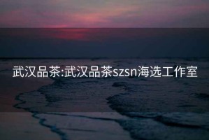 武汉品茶:武汉品茶szsn海选工作室