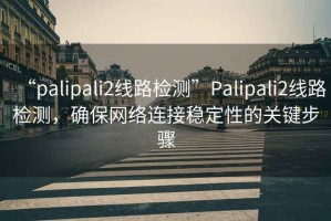 “palipali2线路检测”Palipali2线路检测，确保网络连接稳定性的关键步骤