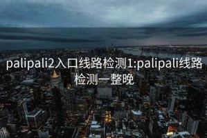 palipali2入口线路检测1:palipali线路检测一整晚