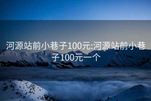 河源站前小巷子100元:河源站前小巷子100元一个