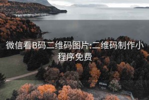 微信看B码二维码图片:二维码制作小程序免费