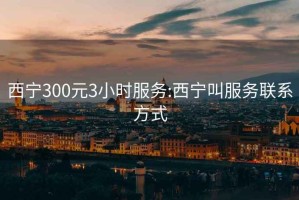 西宁300元3小时服务:西宁叫服务联系方式