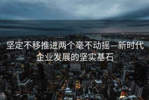 坚定不移推进两个毫不动摇—新时代企业发展的坚实基石