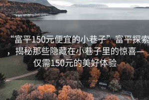 “富平150元便宜的小巷子”富平探索，揭秘那些隐藏在小巷子里的惊喜—仅需150元的美好体验