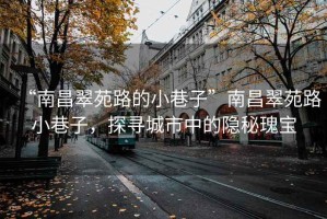 “南昌翠苑路的小巷子”南昌翠苑路小巷子，探寻城市中的隐秘瑰宝