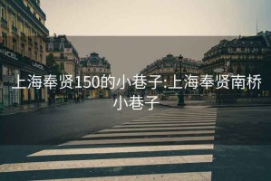 上海奉贤150的小巷子:上海奉贤南桥小巷子