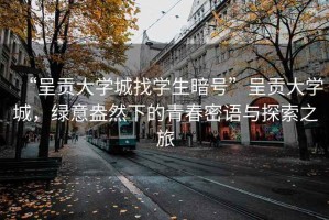 “呈贡大学城找学生暗号”呈贡大学城，绿意盎然下的青春密语与探索之旅