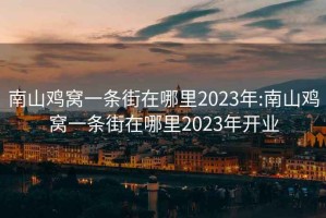 南山鸡窝一条街在哪里2023年:南山鸡窝一条街在哪里2023年开业