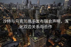 沙特与乌克兰携手发布联合声明，深化双边关系与合作