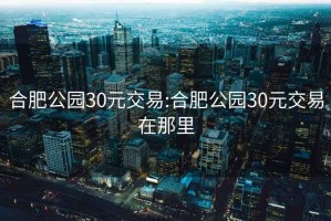 合肥公园30元交易:合肥公园30元交易在那里