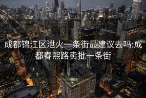 成都锦江区泄火一条街最建议去吗:成都春熙路卖批一条街