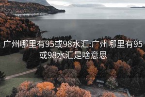 广州哪里有95或98水汇:广州哪里有95或98水汇是啥意思