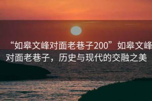 “如皋文峰对面老巷子200”如皋文峰对面老巷子，历史与现代的交融之美