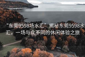 “东莞9598场水汇”揭秘东莞9598水汇，一场与众不同的休闲体验之旅