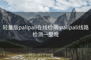 轻量版palipali在线检测:palipali线路检测一整晚