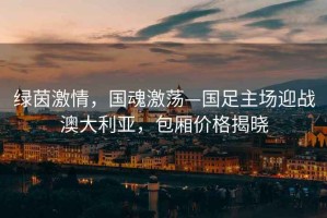 绿茵激情，国魂激荡—国足主场迎战澳大利亚，包厢价格揭晓