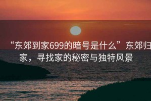 “东郊到家699的暗号是什么”东郊归家，寻找家的秘密与独特风景