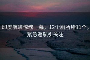 印度航班惊魂一幕，12个厕所堵11个，紧急返航引关注