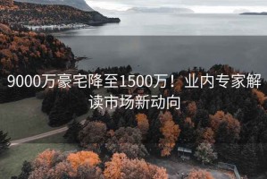 9000万豪宅降至1500万！业内专家解读市场新动向