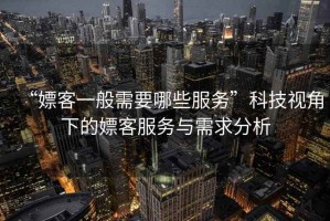 “嫖客一般需要哪些服务”科技视角下的嫖客服务与需求分析