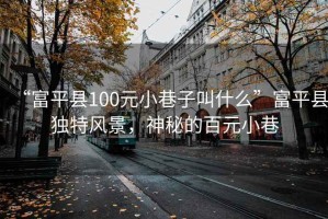 “富平县100元小巷子叫什么”富平县独特风景，神秘的百元小巷