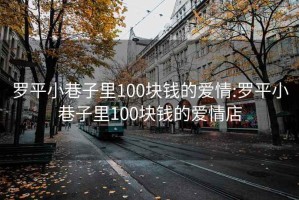 罗平小巷子里100块钱的爱情:罗平小巷子里100块钱的爱情店