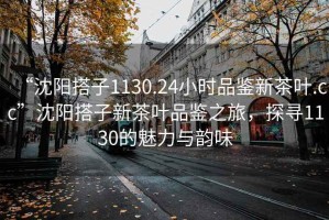 “沈阳搭子1130.24小时品鉴新茶叶.cc”沈阳搭子新茶叶品鉴之旅，探寻1130的魅力与韵味