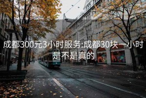 成都300元3小时服务:成都30块一小时是不是真的