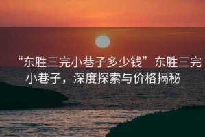 “东胜三完小巷子多少钱”东胜三完小巷子，深度探索与价格揭秘