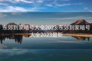 东郊到家暗号大全2023:东郊到家暗号大全2023最新