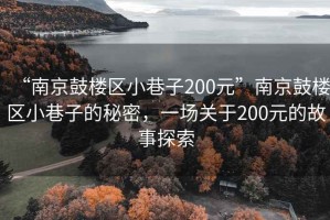 “南京鼓楼区小巷子200元”南京鼓楼区小巷子的秘密，一场关于200元的故事探索