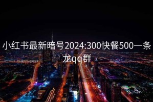 小红书最新暗号2024:300快餐500一条龙qq群