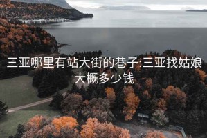 三亚哪里有站大街的巷子:三亚找姑娘大概多少钱