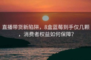 直播带货新陷阱，8盒蓝莓到手仅几颗，消费者权益如何保障？