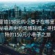 “塘厦镇150元的小巷子在哪里”塘厦镇隐秘巷弄中的风情秘境，寻找那独特的150元小巷子之旅