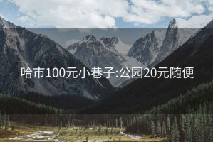 哈市100元小巷子:公园20元随便