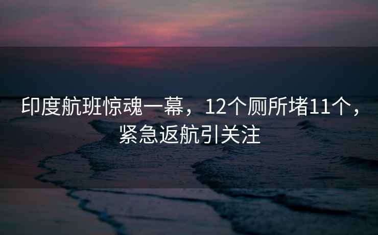 印度航班惊魂一幕，12个厕所堵11个，紧急返航引关注