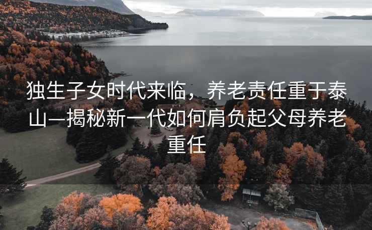 独生子女时代来临，养老责任重于泰山—揭秘新一代如何肩负起父母养老重任