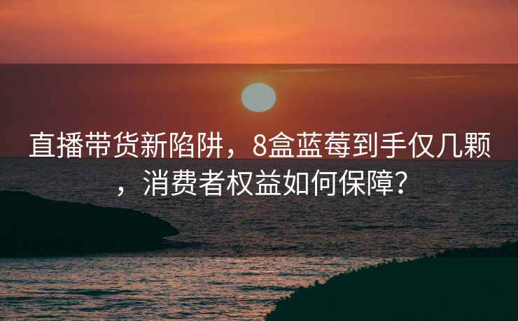 直播带货新陷阱，8盒蓝莓到手仅几颗，消费者权益如何保障？