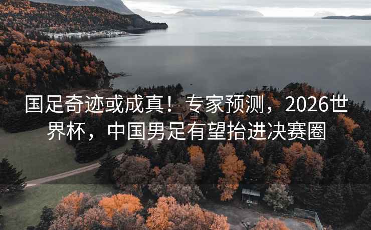 国足奇迹或成真！专家预测，2026世界杯，中国男足有望抬进决赛圈